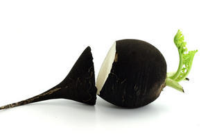Tisane Radis noir, racine coupee, 50 g (herboristerie pour tisanes)