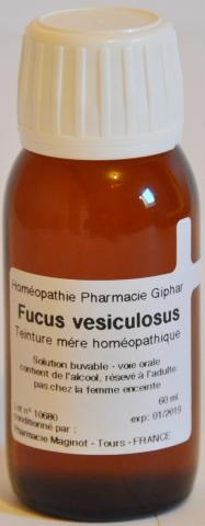Fucus vesiculosus - Teinture mere homeopathique