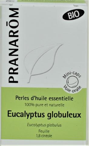 EUCALYPTUS GLOBULUS PRANAROM PERLE BIO B/60