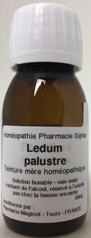 Ledum palustre - Teinture mere homeopathique