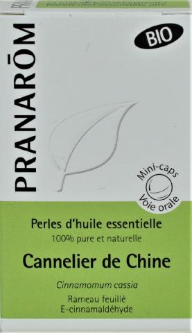 CANNELIER CHINE PRANAROM PERLE BIO B/60