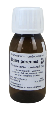Bellis perenis - Teinture mere homeopathique
