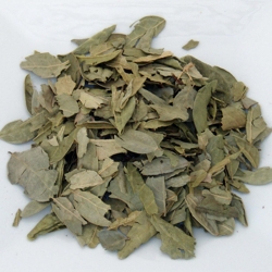 Tisane Boldo, feuilles coupees, 50 g