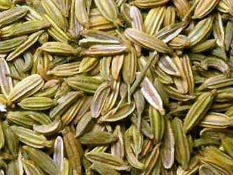 Tisane Fenouil, semence entiere, 50 g (herboristerie pour tisanes)